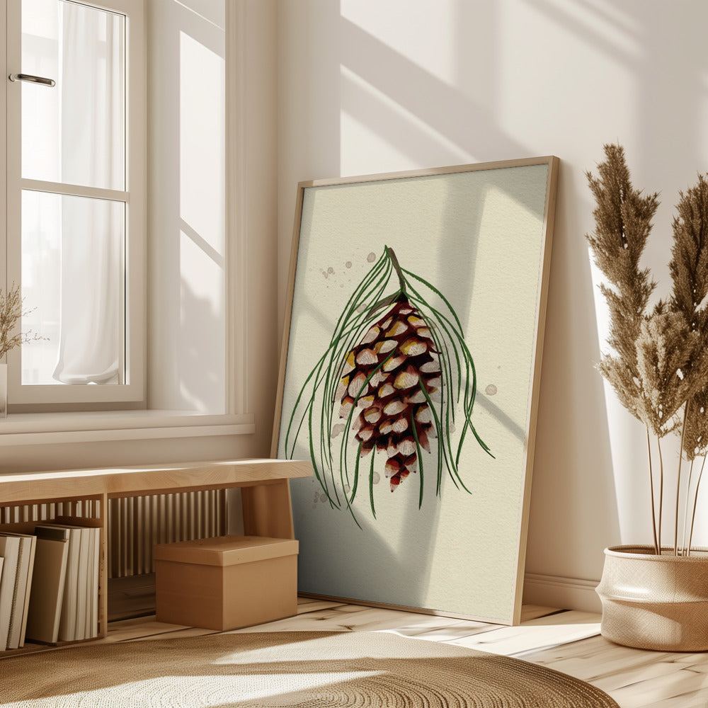 Maine White Pine Cone Copy Poster