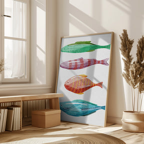 Colorful Fish Poster