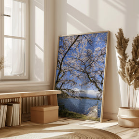 Charming Lake Tanuki with Mount Fuji Poster