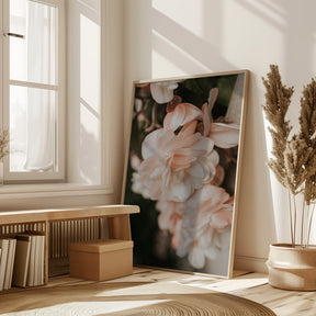 Pastel Flowers Poster