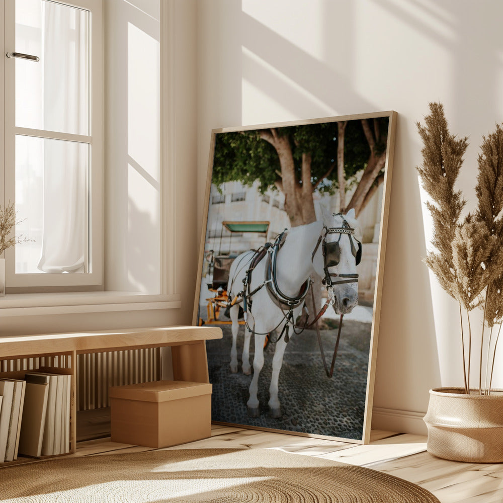 Sevilla White Horse Poster