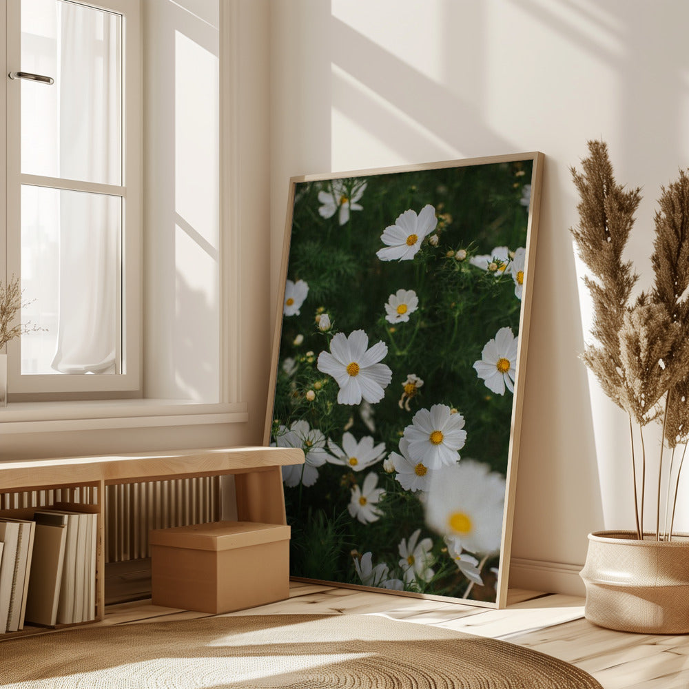 White Flowers Poster