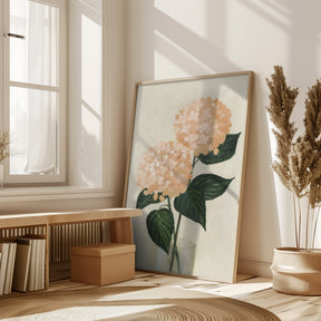 Coral hydrangeas in a vase Poster