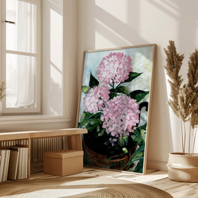 Potted pink hydrangeas Poster