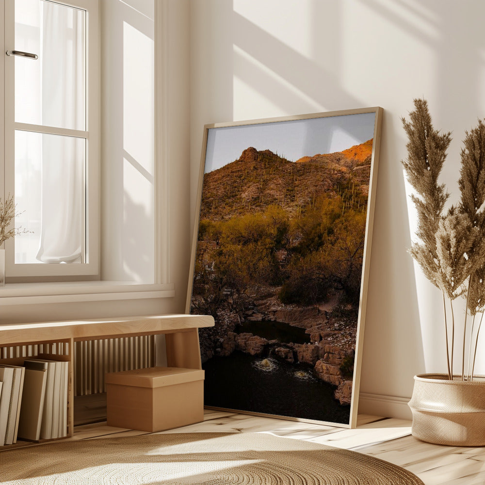 Ventana Canyon Poster