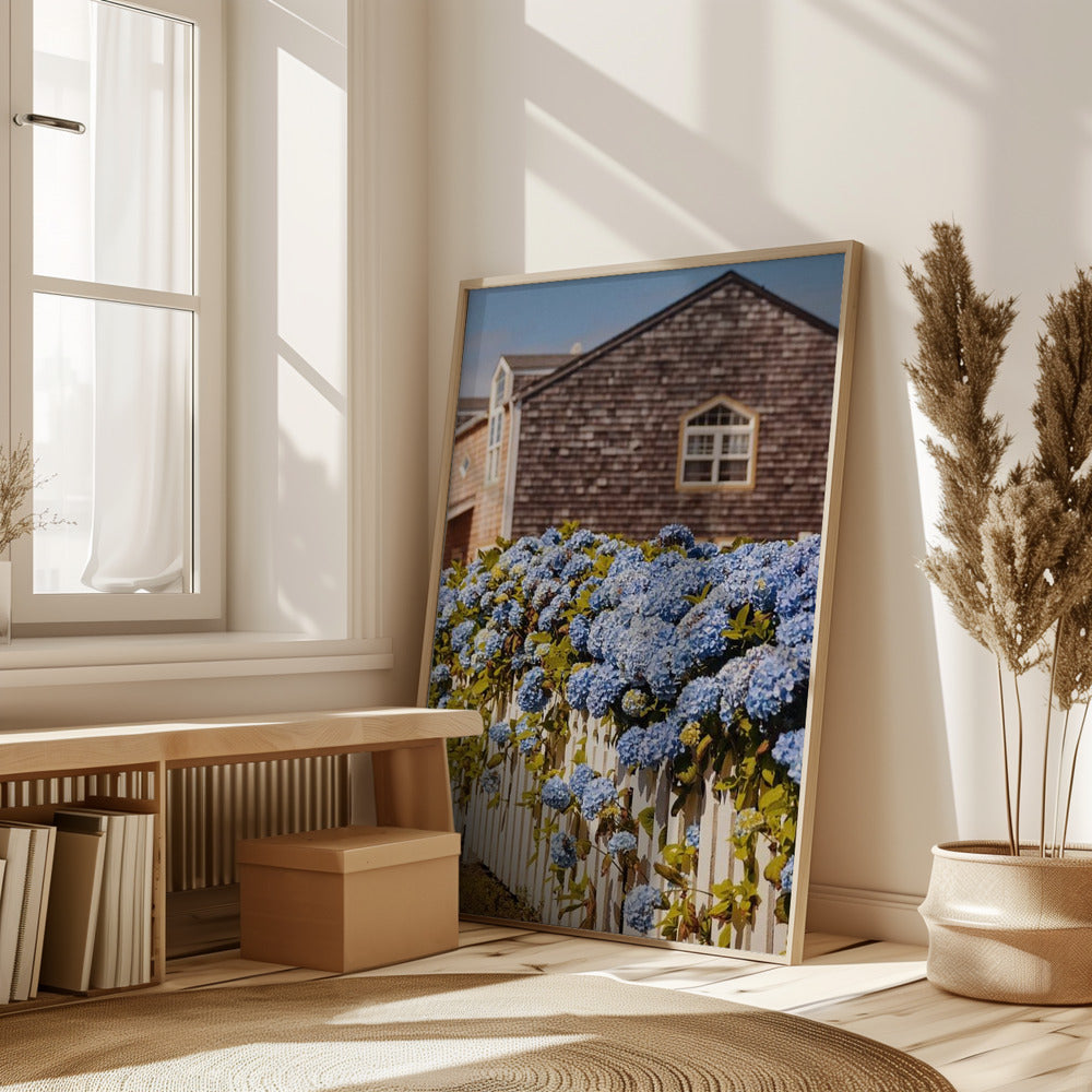 Cannon Beach Hydrangeas Poster