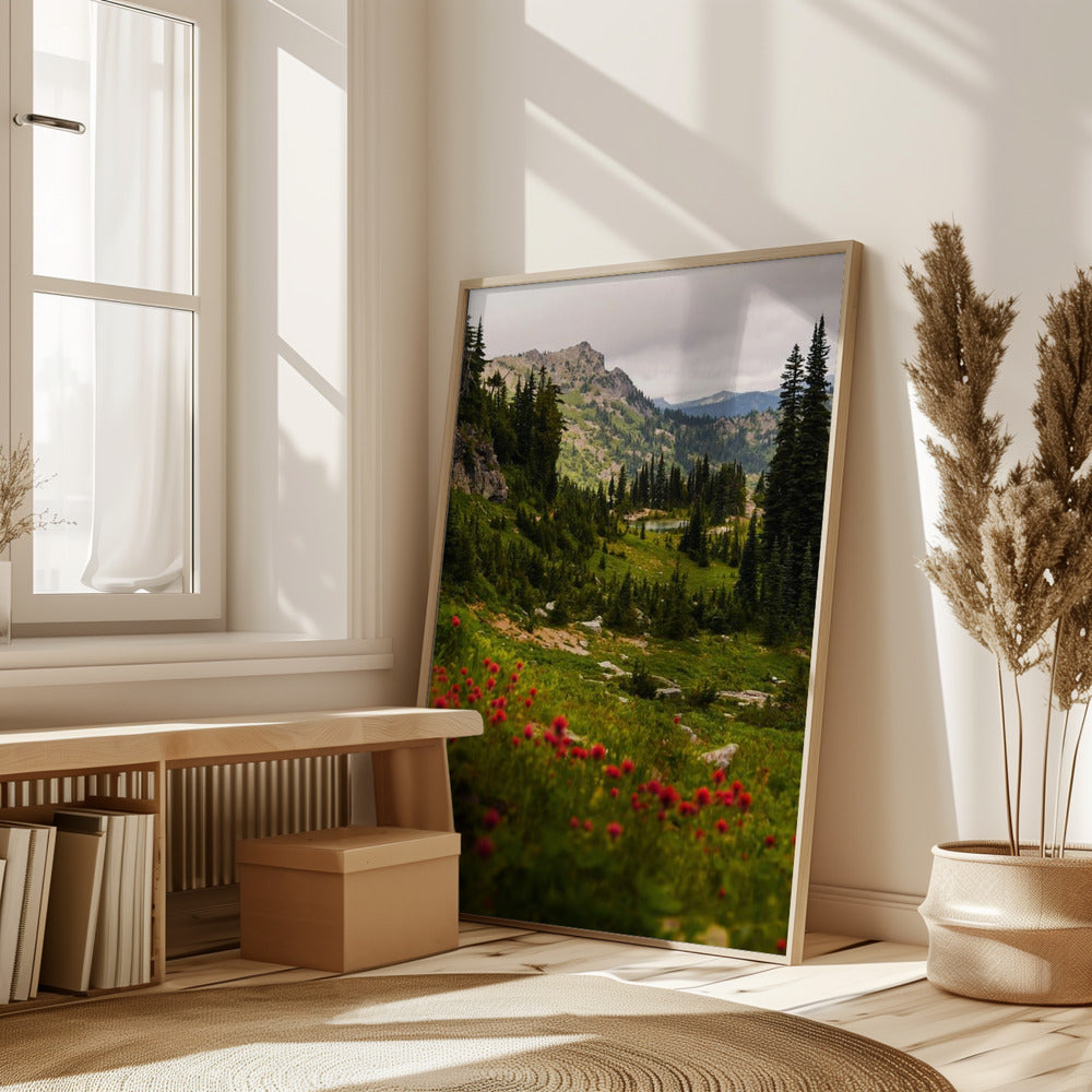 Mount Rainier Paintbrush Poster