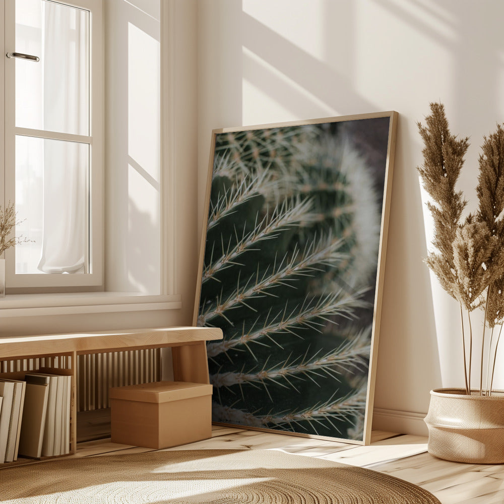 Cactus II Poster