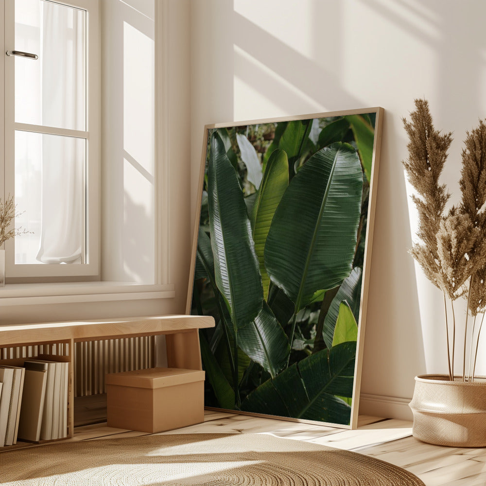 Banana Leaves Poster