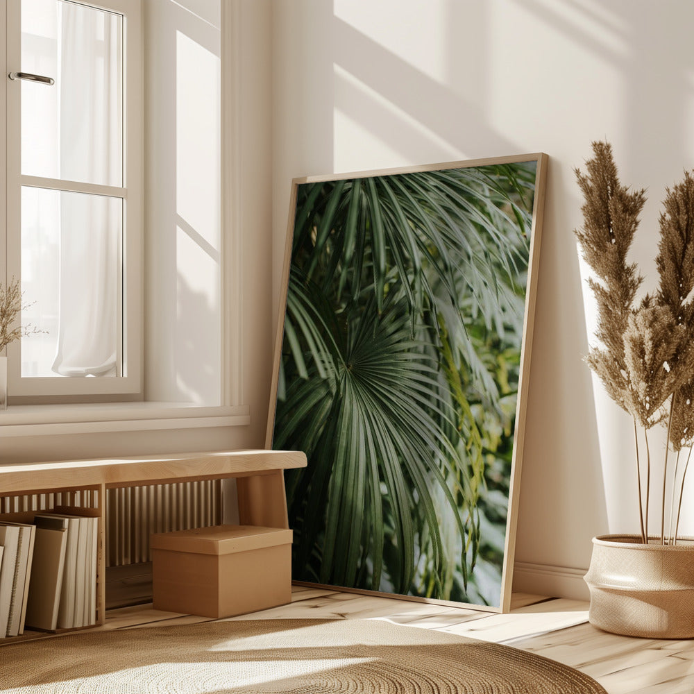 Areca Palm Poster