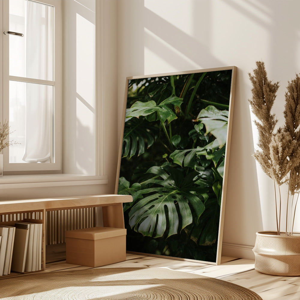 Monstera Leaves Poster