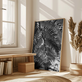 Fern in Black White Poster