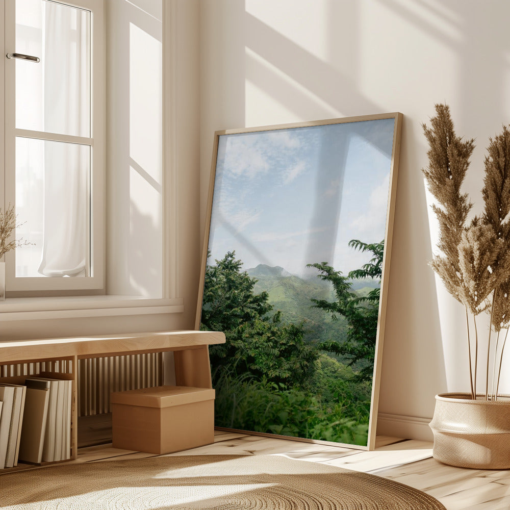 Greens of Monteverde Costa Rica Poster