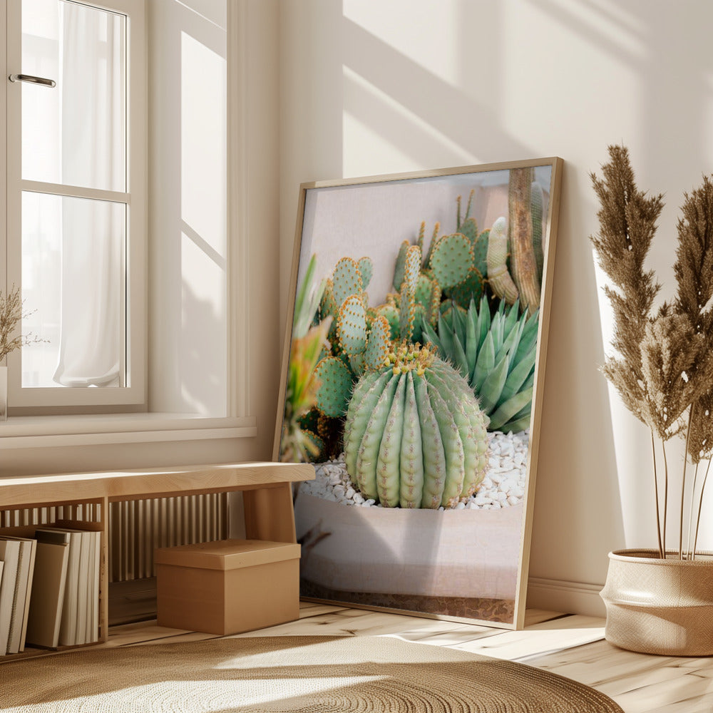 Cactus Love | Marrakech Travel Photography Poster