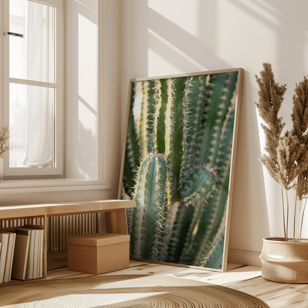 Gold &amp; Green Cacti Marrakech Poster