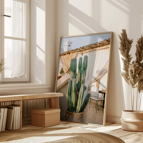 Rooftop Cactus | Morocco Travel Photography Poster