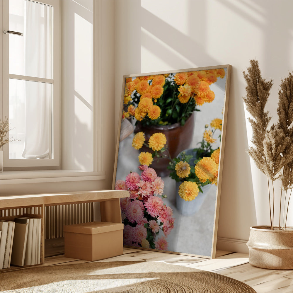 Chrysanthemum Blooms | Autumn Floral Still Life Poster