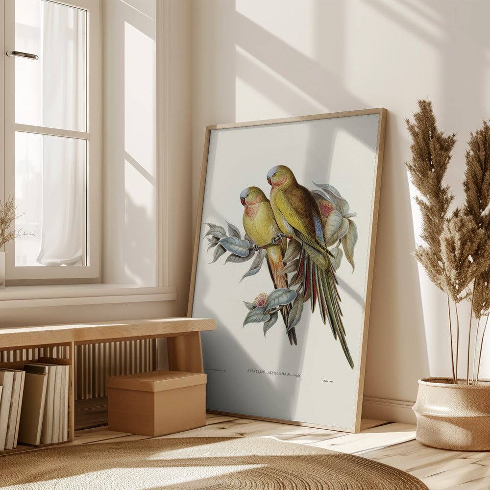 The Princess of Wales&#039;s Parakeet Poster