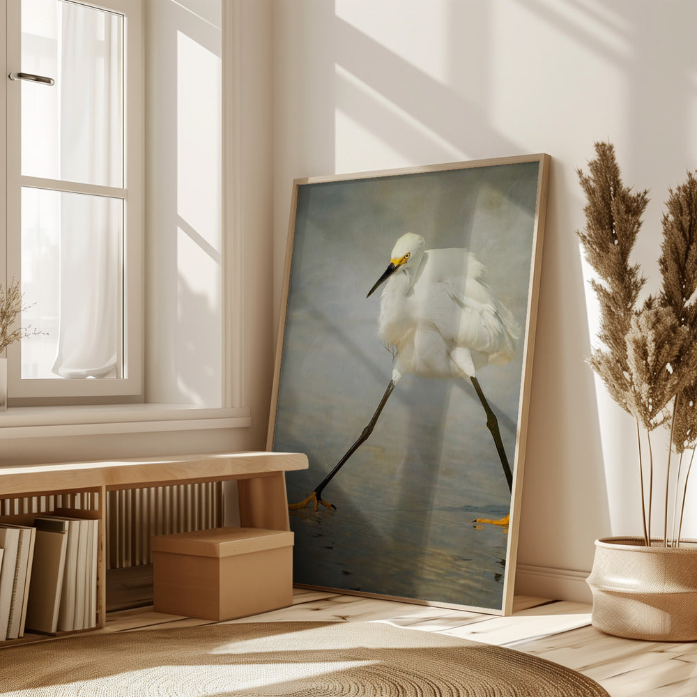 The Rock Star Poster