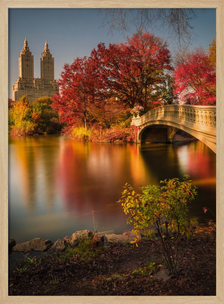 Fall in Central Park Poster