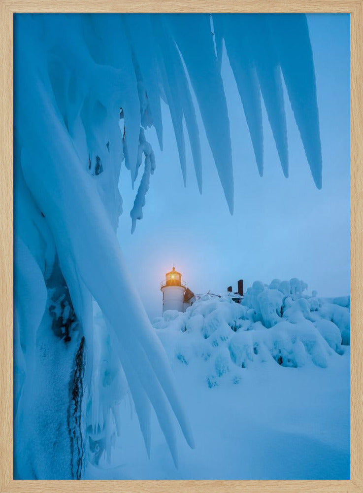 Light in the Cold Poster