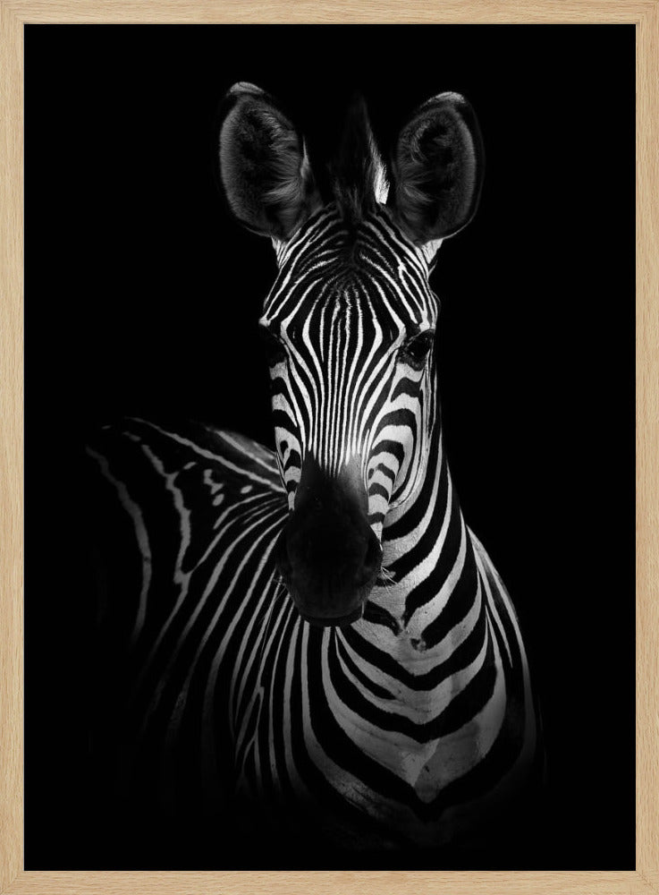 The Zebra Poster