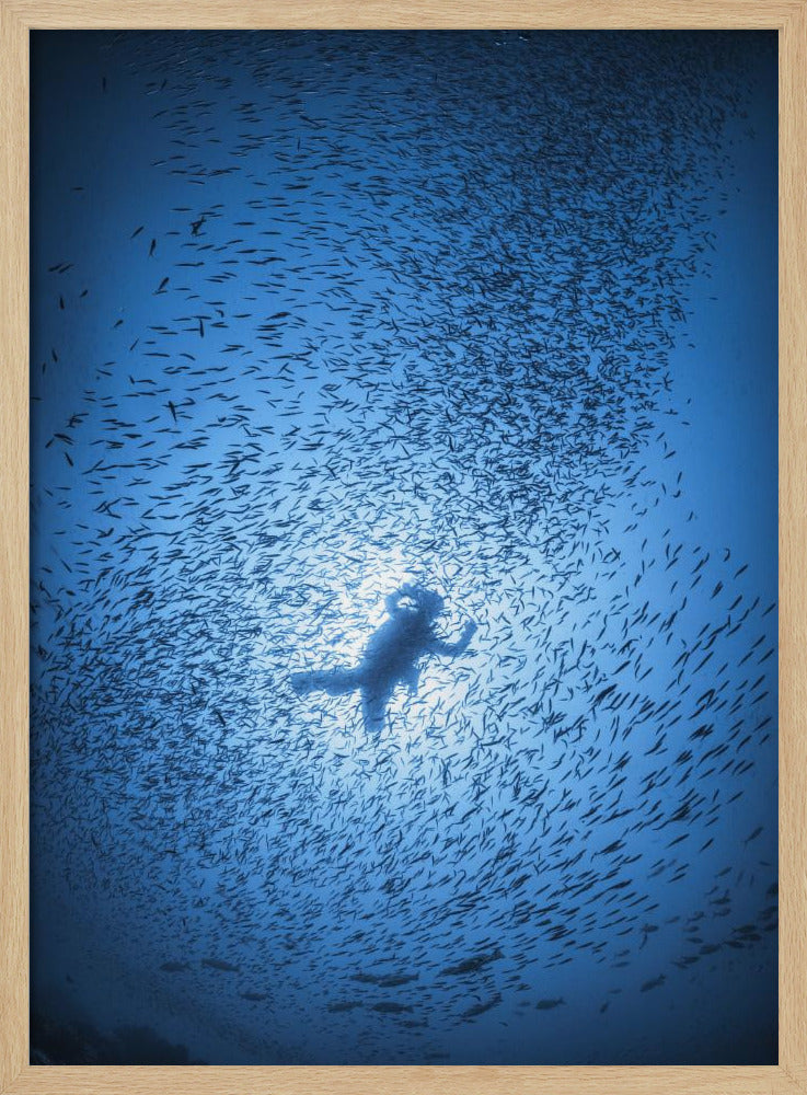 Diver and shoal of fish Poster