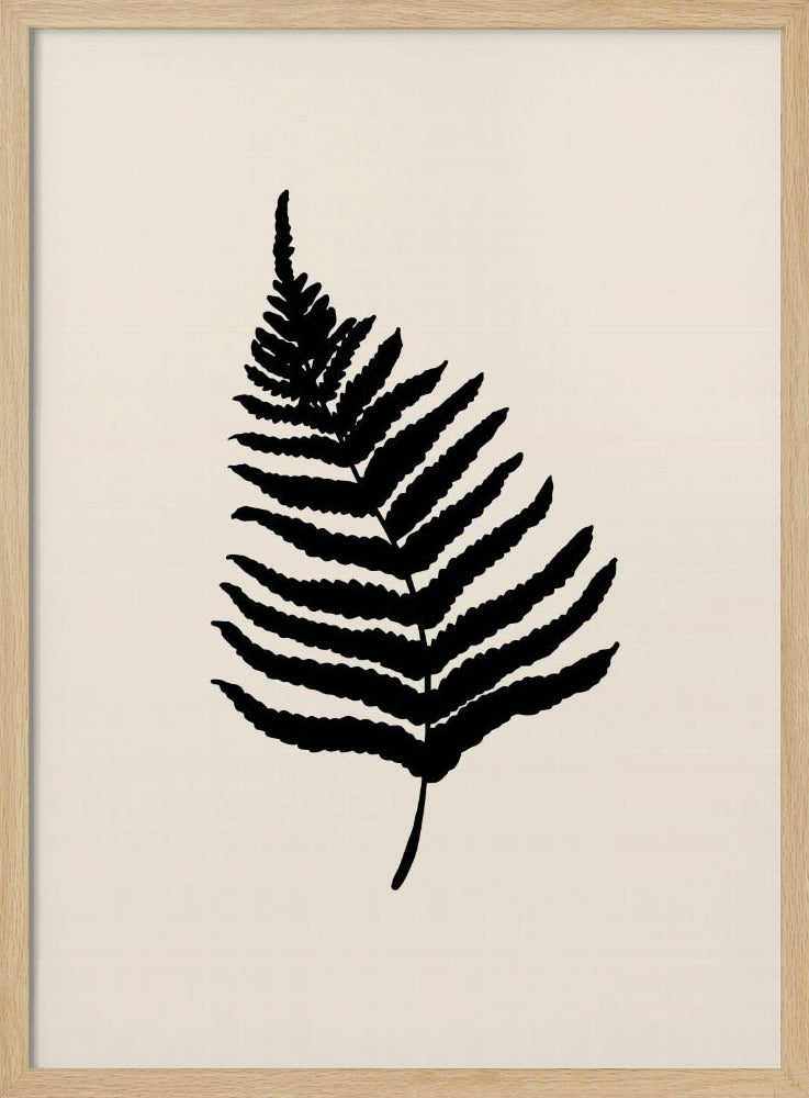 Fern Poster