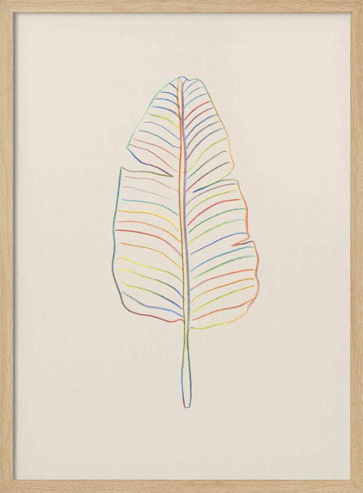 Banana Rainbow Leaf Poster