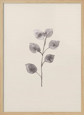 Eucalyptus Twig Poster