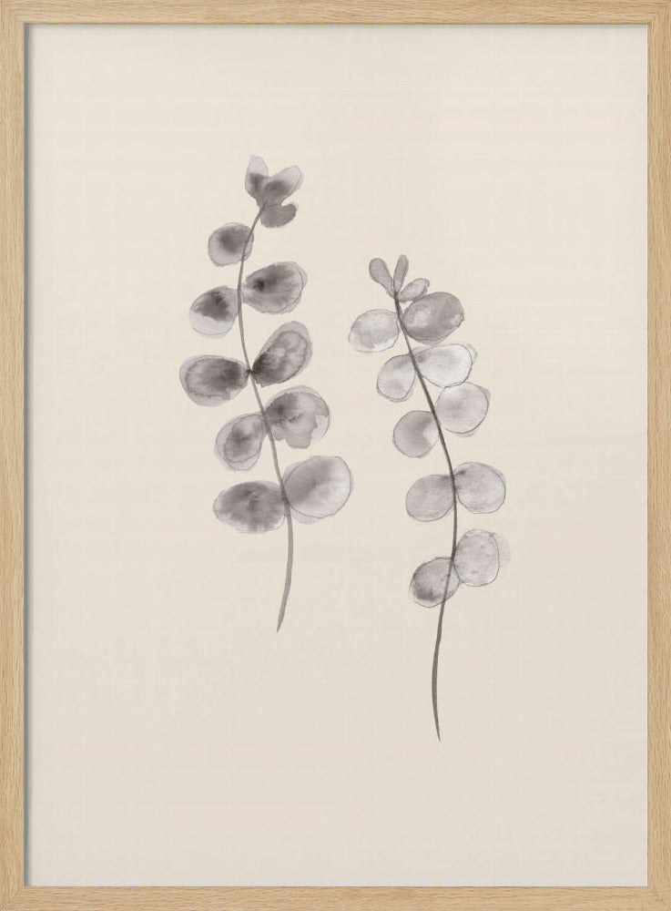 Eucalyptus Twigs Poster