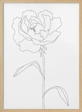 Peony Lines Poster