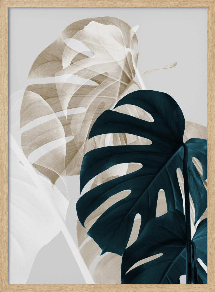 Monstera Creative 05 Poster