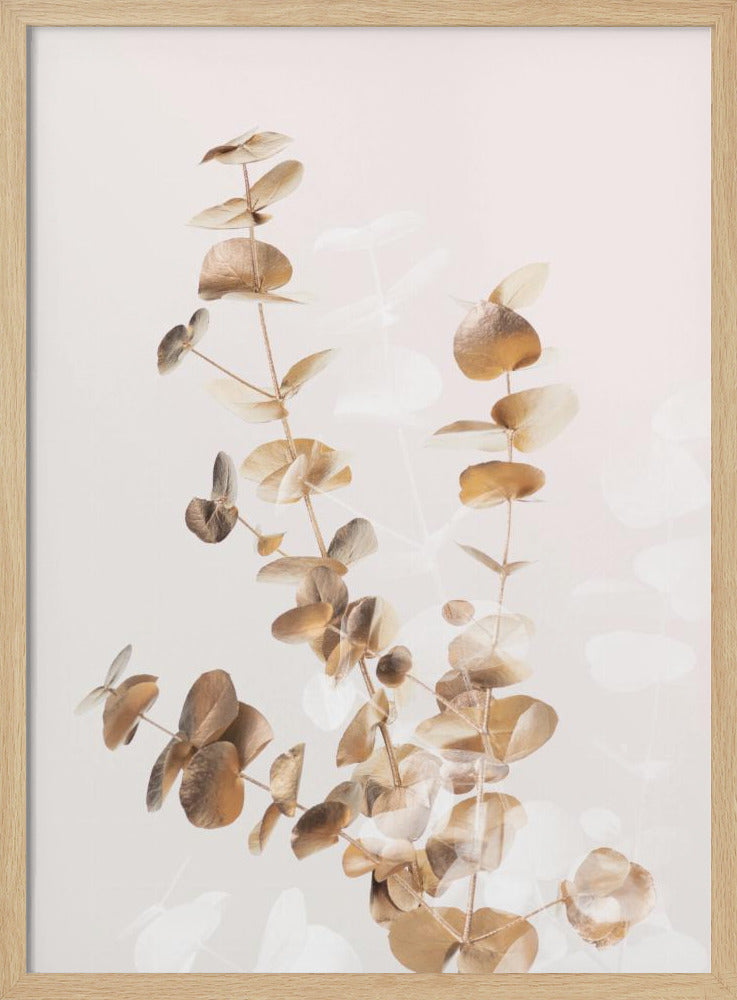 Eucalyptus Creative Gold 03 Poster