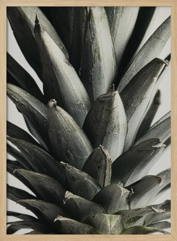 Pineapple close up Poster