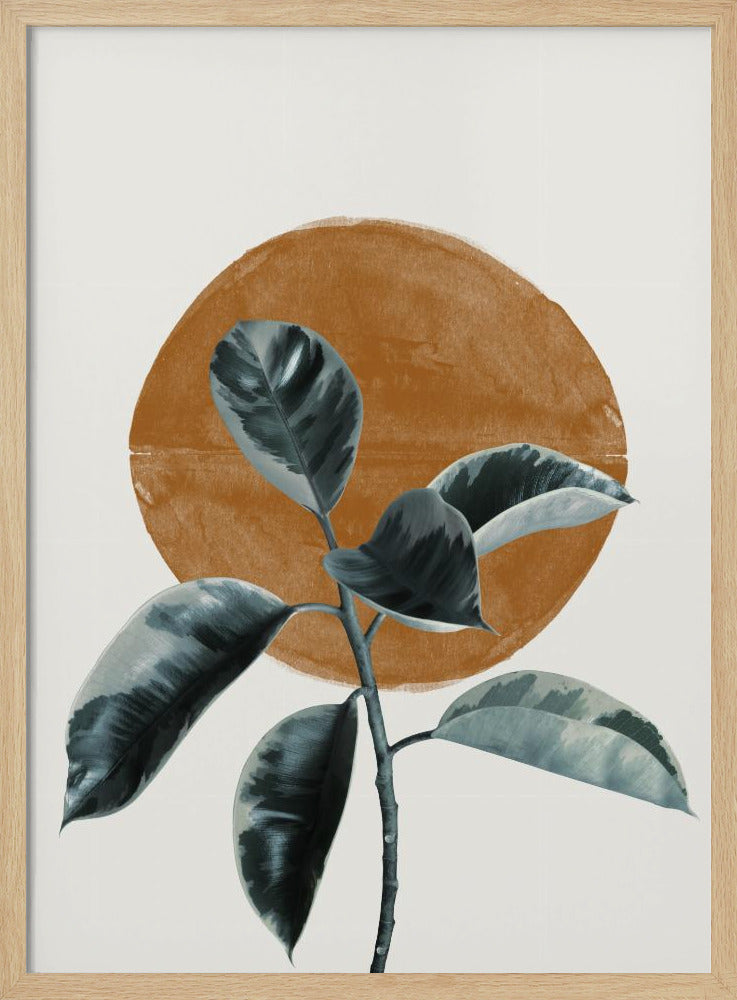 Sun and Ficus Poster