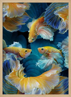 ColorFish Poster