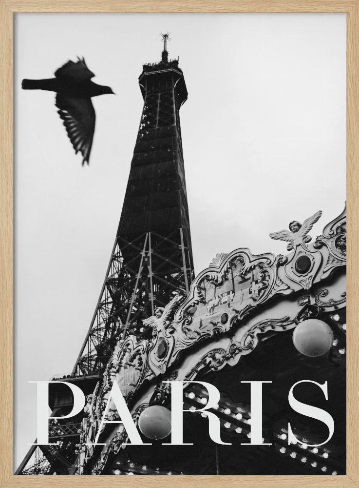 Paris Dove Poster