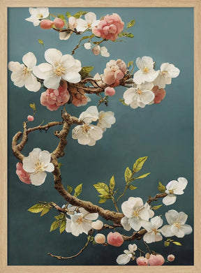 White Cherry Blossoms Poster