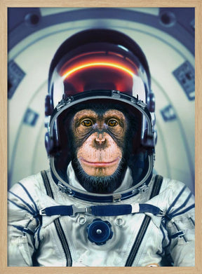 AstroMonkey Poster