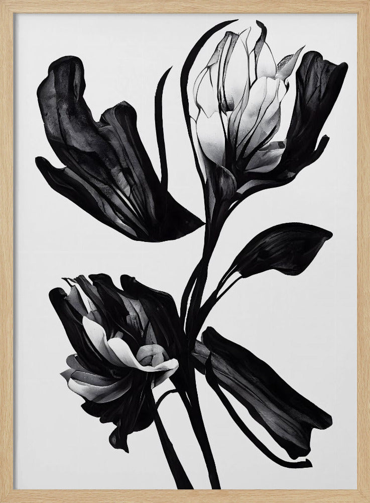 Black Flower Poster