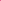 Cute Pink Flowers Poster