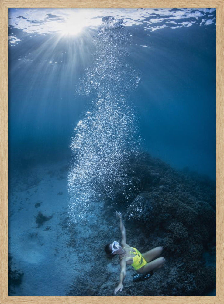 Lady of the reef Poster