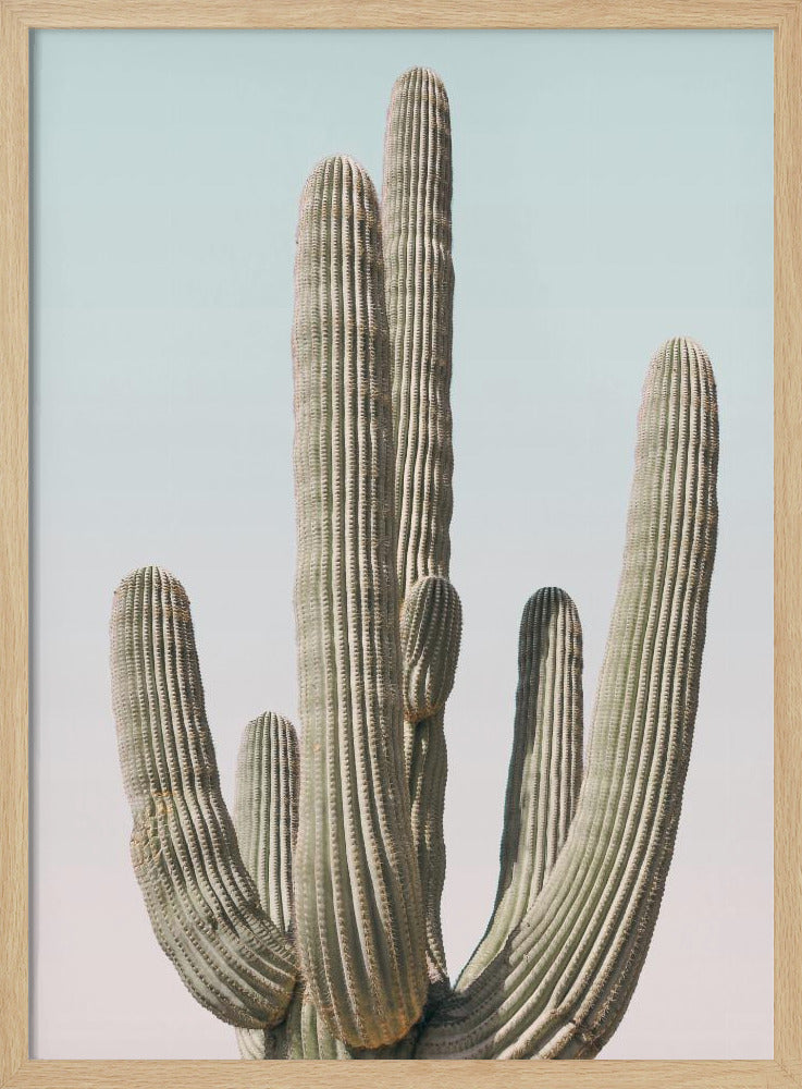 Saguaro Poster