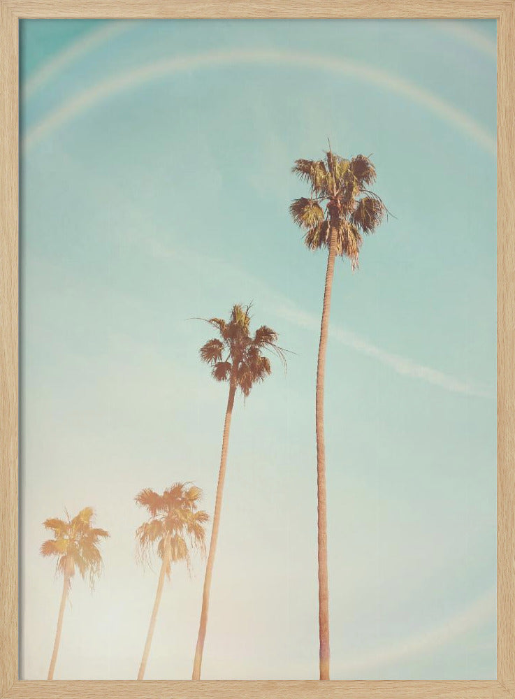 Sunny Cali Palm Tree Poster