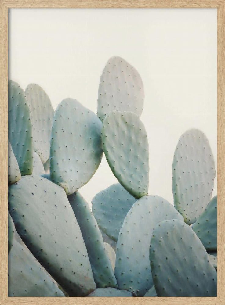 Pastel Cacti Poster