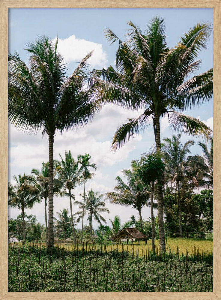 Tetebatu Lombok Poster