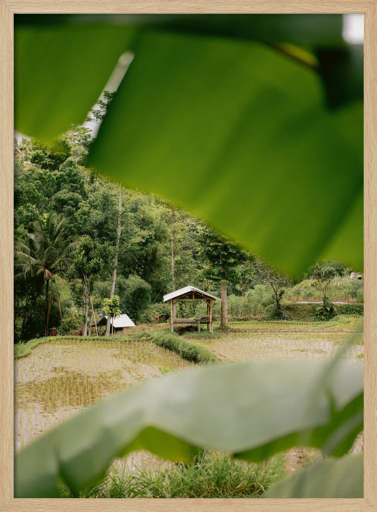 Tetebatu Lombok Poster