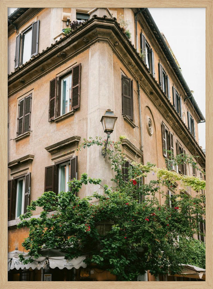 Botanical Trastevere Rome || Poster