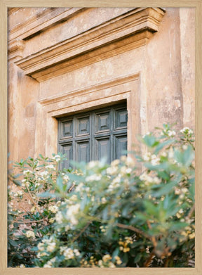 Botanical Trastevere Rome Poster